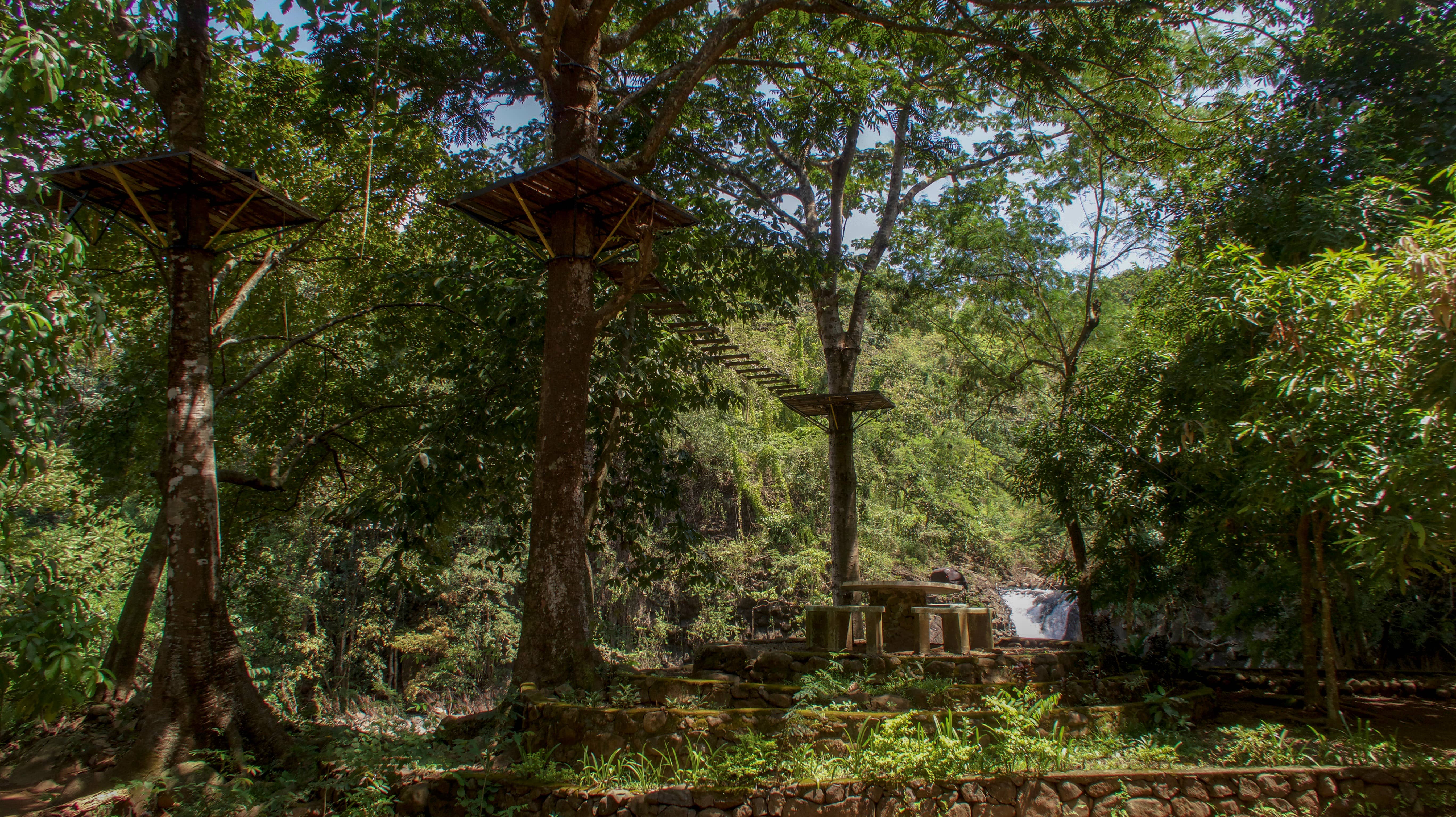 tree hopping adventure and dunsulan falls in bataan philippines